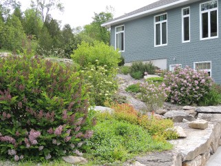 77 TALLAN LAKE RD, North Kawartha, Ontario, Canada