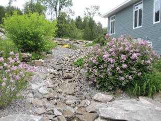 77 TALLAN LAKE RD, North Kawartha, Ontario, Canada