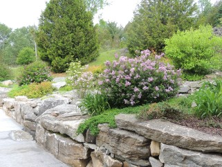 77 TALLAN LAKE RD, North Kawartha, Ontario, Canada