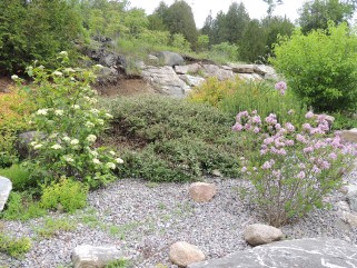 77 TALLAN LAKE RD, North Kawartha, Ontario, Canada