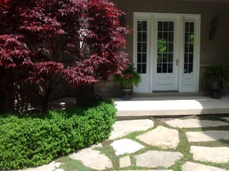 135 ANTELOPE TRAIL, North Kawartha, Ontario, Canada