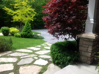 135 ANTELOPE TRAIL, North Kawartha, Ontario, Canada
