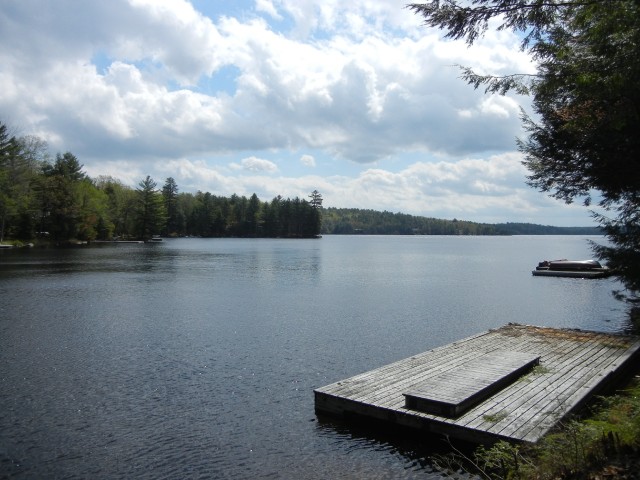 1198 ANSTRUTHER LAKE WAO, North Kawartha, Ontario, Canada