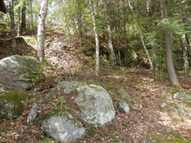 1198 ANSTRUTHER LAKE WAO, North Kawartha, Ontario, Canada