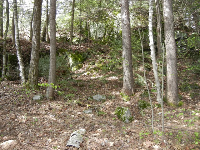 1198 ANSTRUTHER LAKE WAO, North Kawartha, Ontario, Canada
