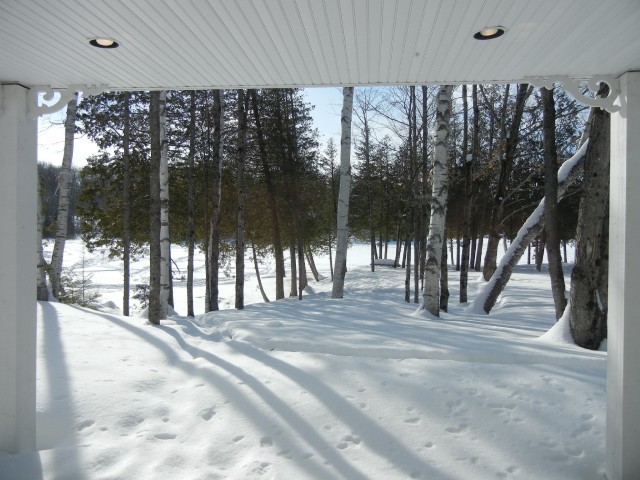 125 ANHINGA LANE, North Kawartha, Ontario, Canada