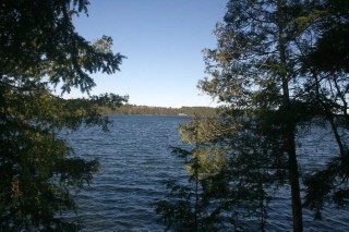 532 MCCAULEYS RD, North Kawartha, Ontario, Canada