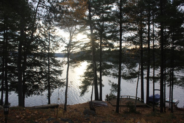 55 GAZELLE TRAIL, North Kawartha, Ontario, Canada