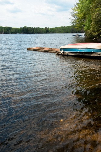 118 QUAIL LANE, North Kawartha, Ontario, Canada