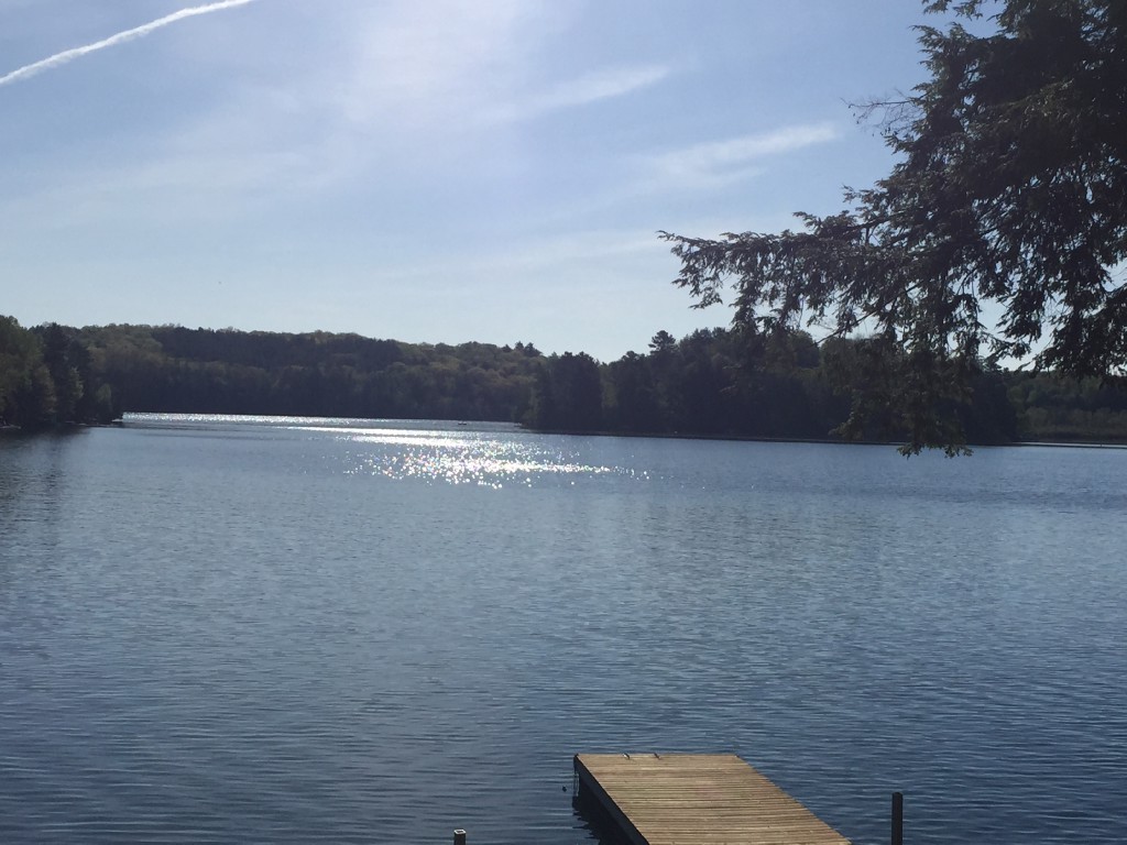 55 PHEASANT LANE, North Kawartha, Ontario, Canada