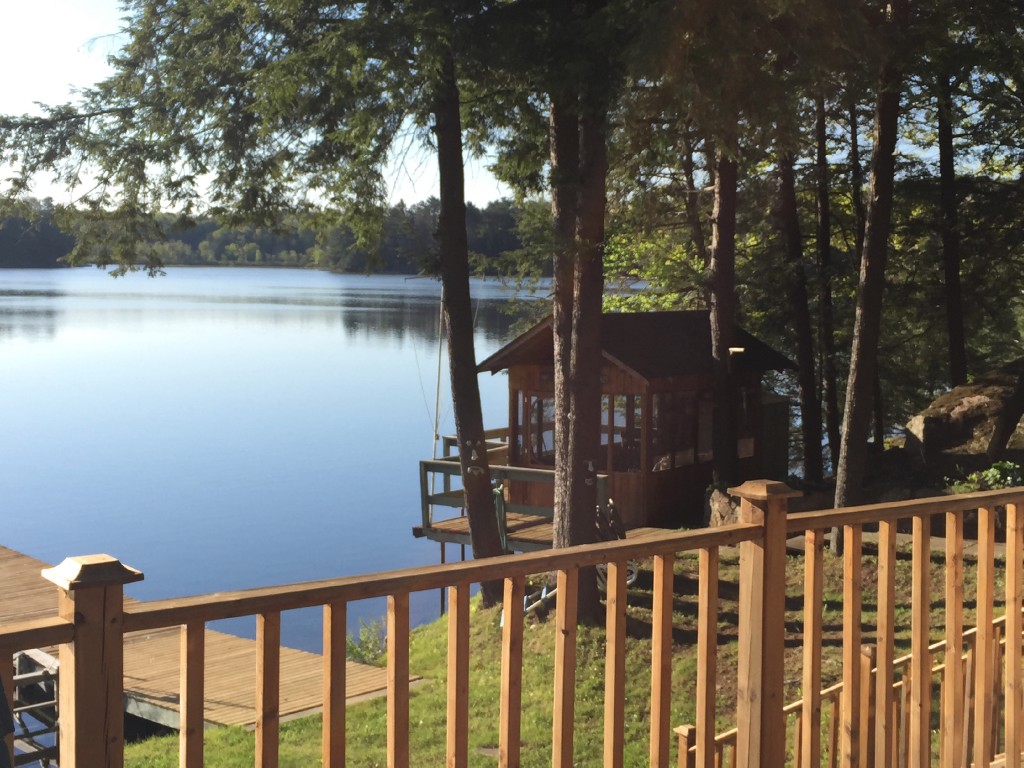 55 PHEASANT LANE, North Kawartha, Ontario, Canada