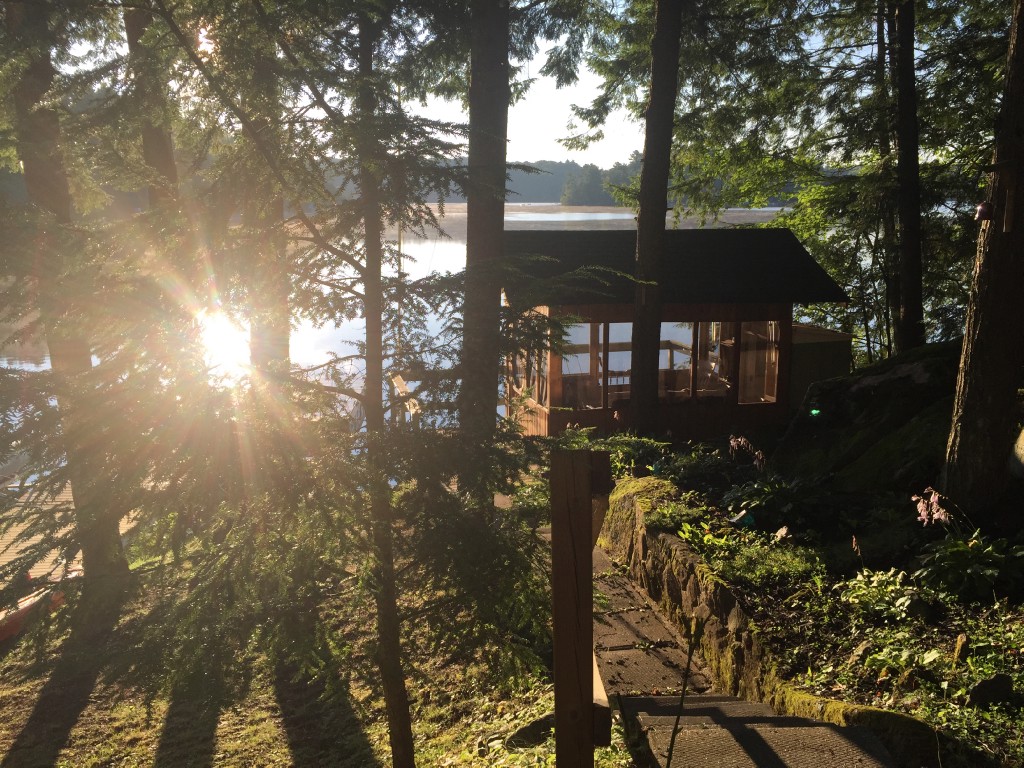 55 PHEASANT LANE, North Kawartha, Ontario, Canada