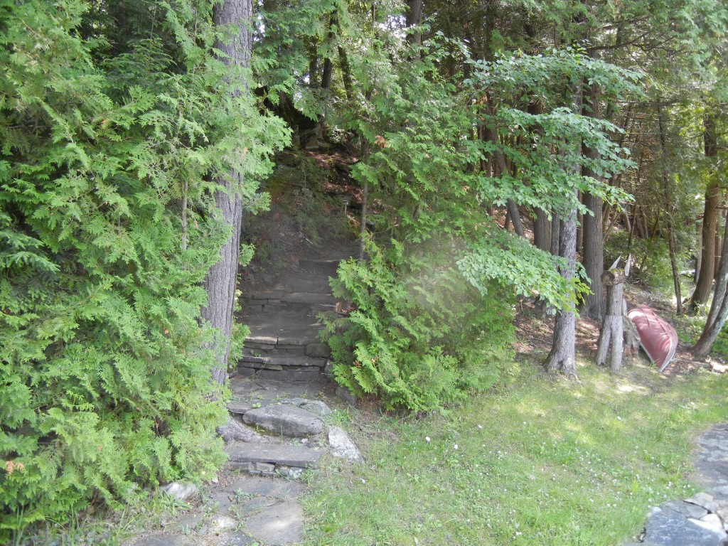 55 NARROWS RD, North Kawartha, Ontario, Canada