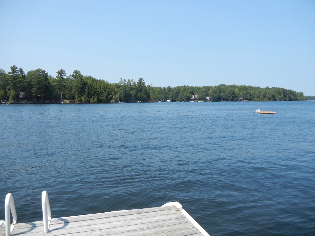 55 NARROWS RD, North Kawartha, Ontario, Canada