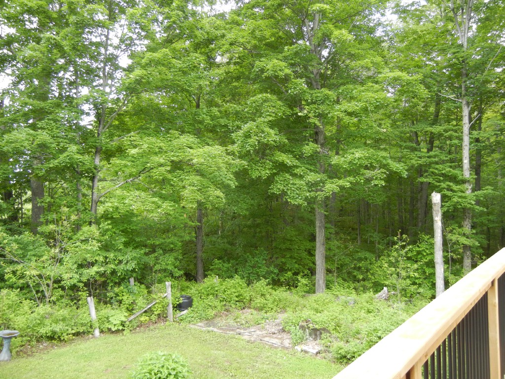 4974 COUNTY ROAD 504, North Kawartha, Ontario, Canada