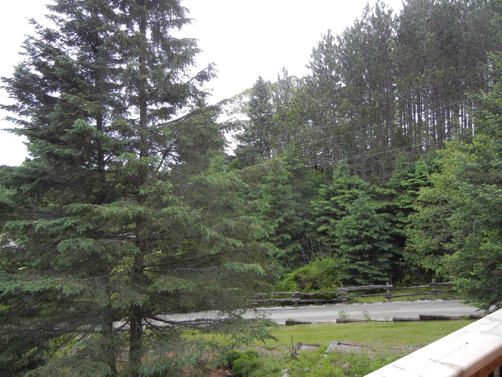 4974 COUNTY ROAD 504, North Kawartha, Ontario, Canada