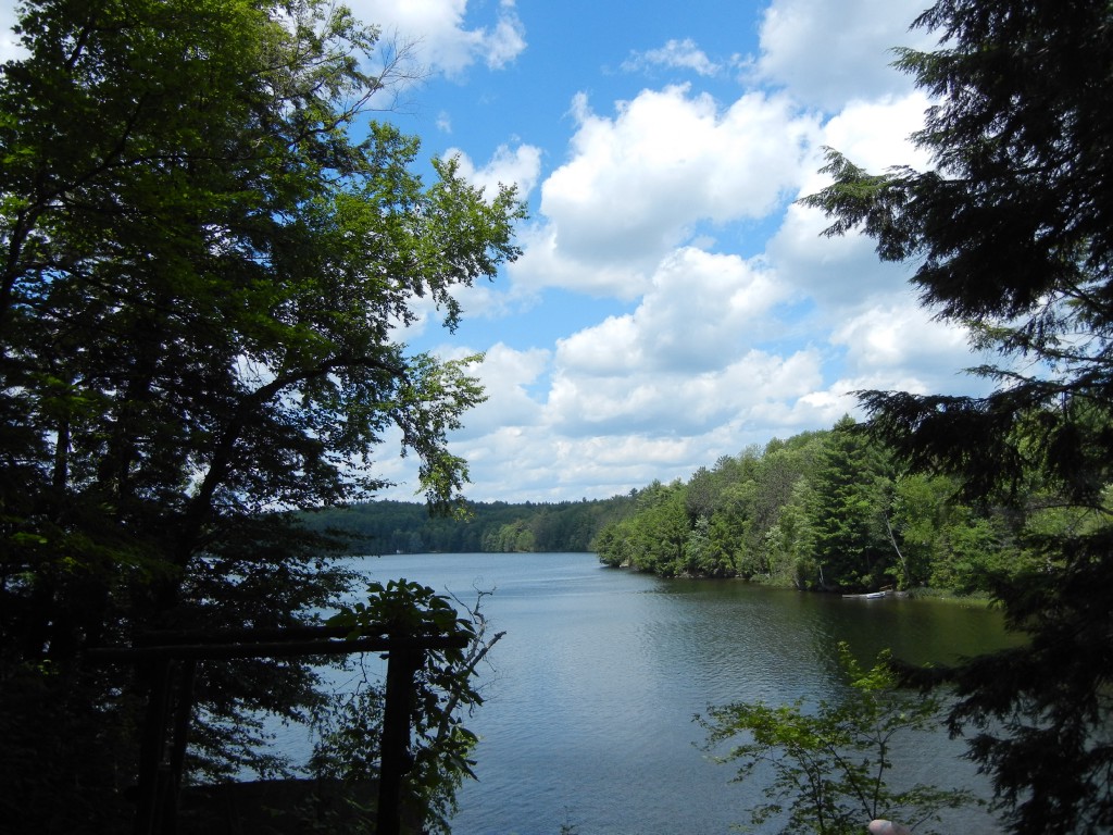 9 GILMOR POINT RD, North Kawartha, Ontario, Canada