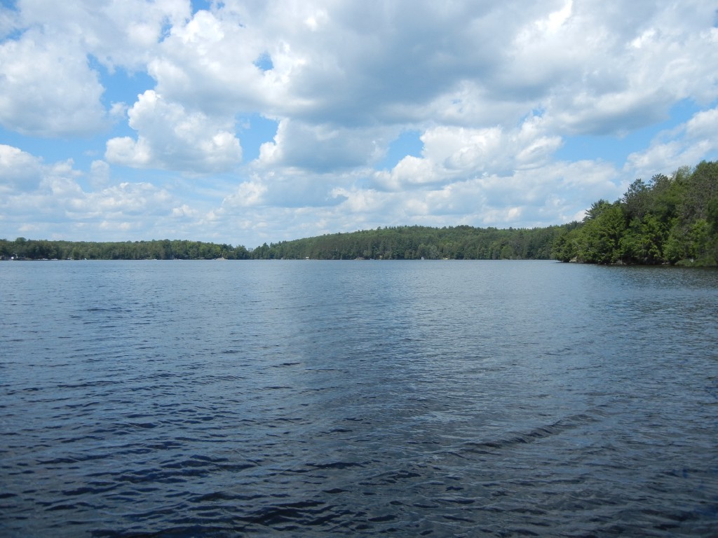 9 GILMOR POINT RD, North Kawartha, Ontario, Canada