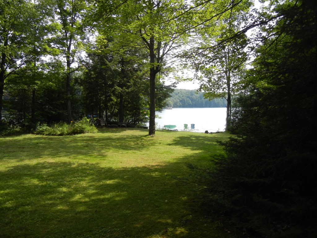 63 DOC EVANS RD, North Kawartha, Ontario, Canada