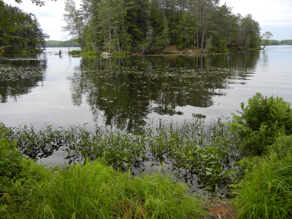 220 BAYSHORE RD, North Kawartha, Ontario, Canada