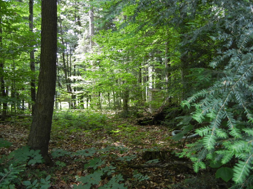 220 BAYSHORE RD, North Kawartha, Ontario, Canada