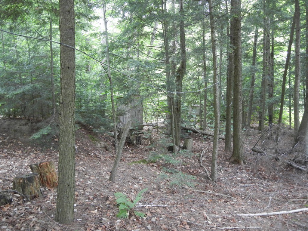220 BAYSHORE RD, North Kawartha, Ontario, Canada