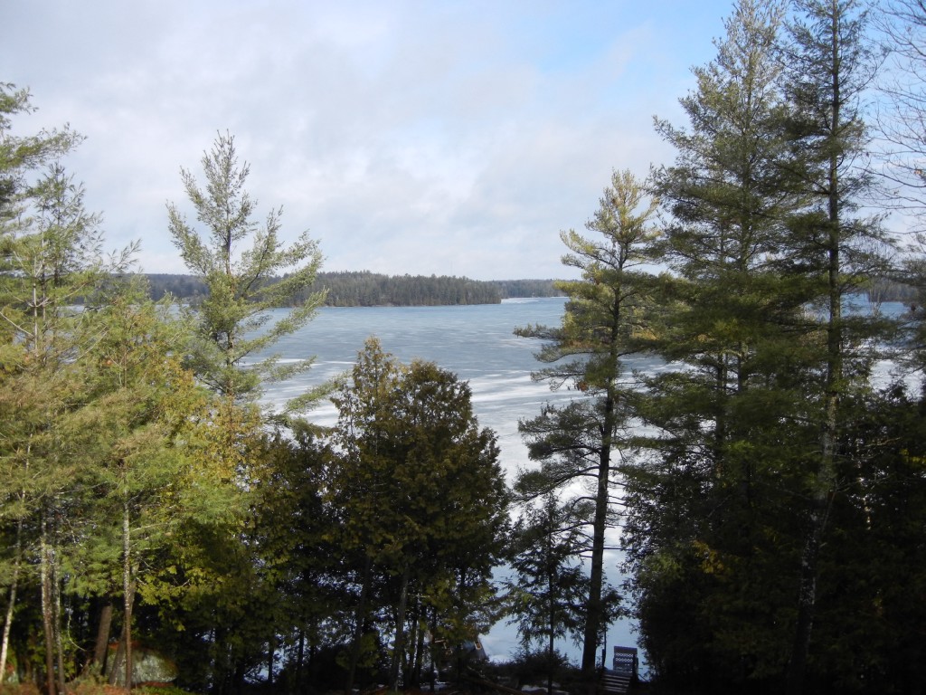 782 STANDISH LANE, North Kawartha, Ontario, Canada