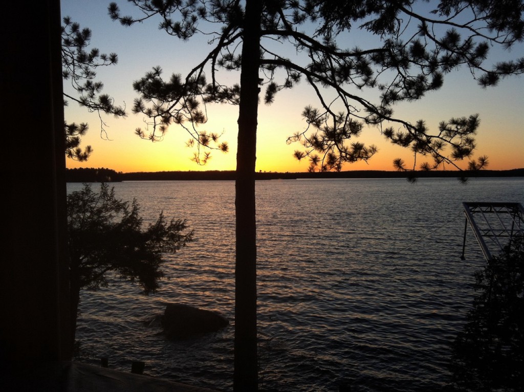 186 BAYSHORE RD, North Kawartha, Ontario, Canada