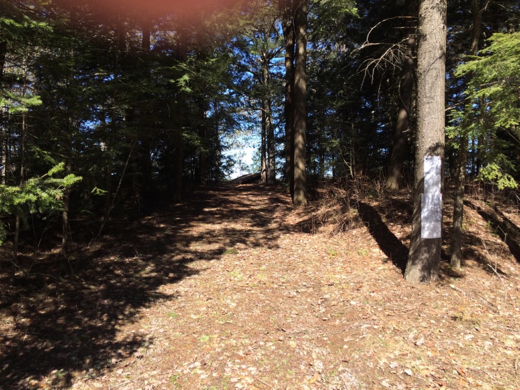 186 BAYSHORE RD, North Kawartha, Ontario, Canada