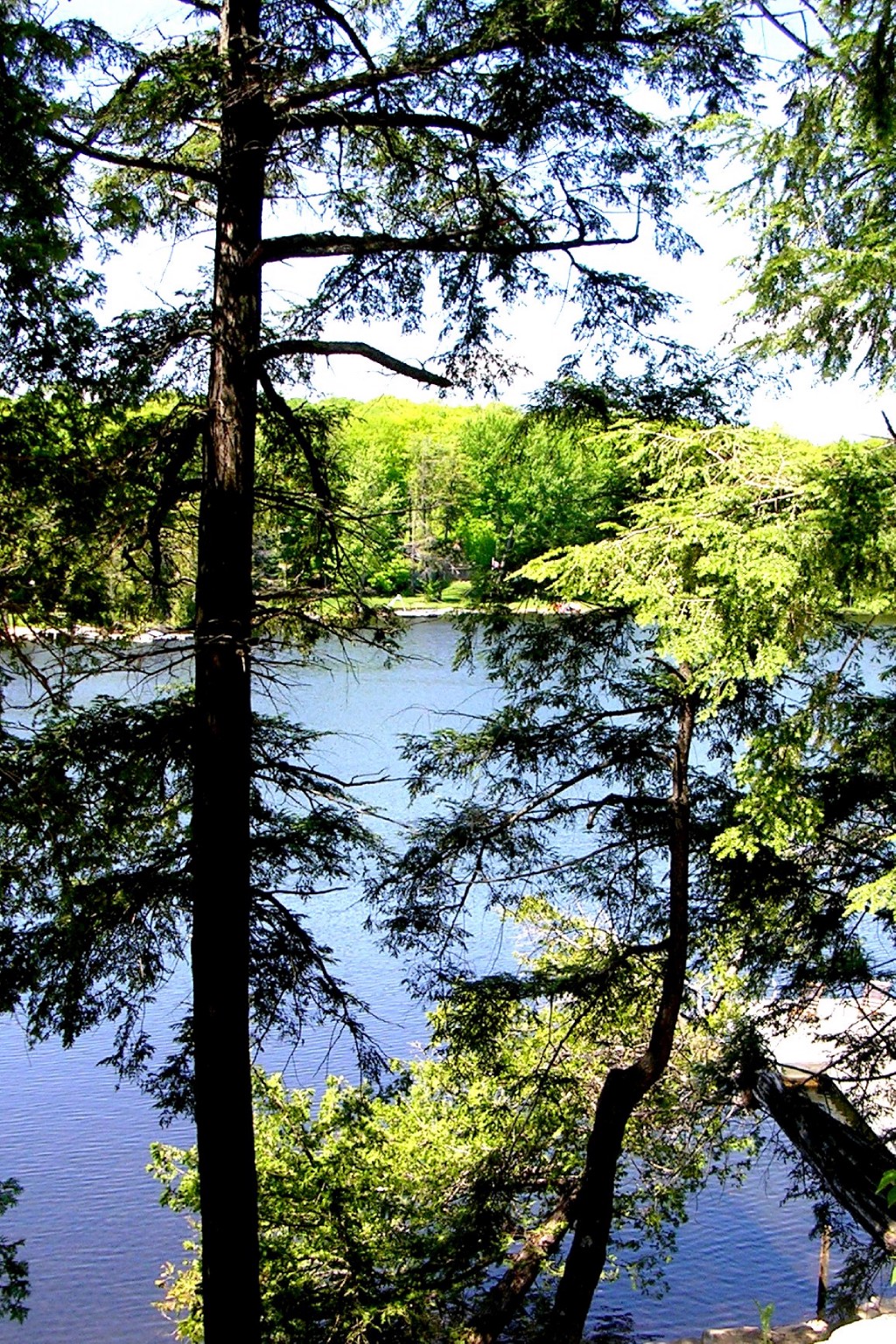 24 HEMLOCK POINT RD, North Kawartha, Ontario, Canada