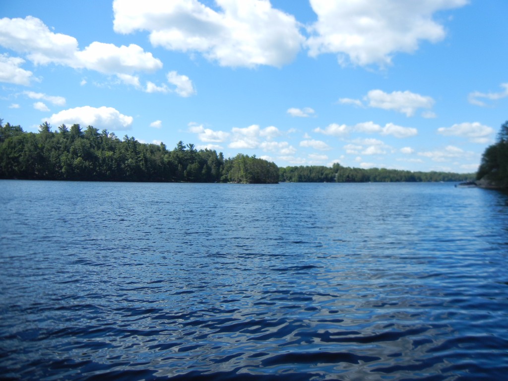 303 FR 85A RTE, Havelock Belmont Methuen, Ontario, Canada