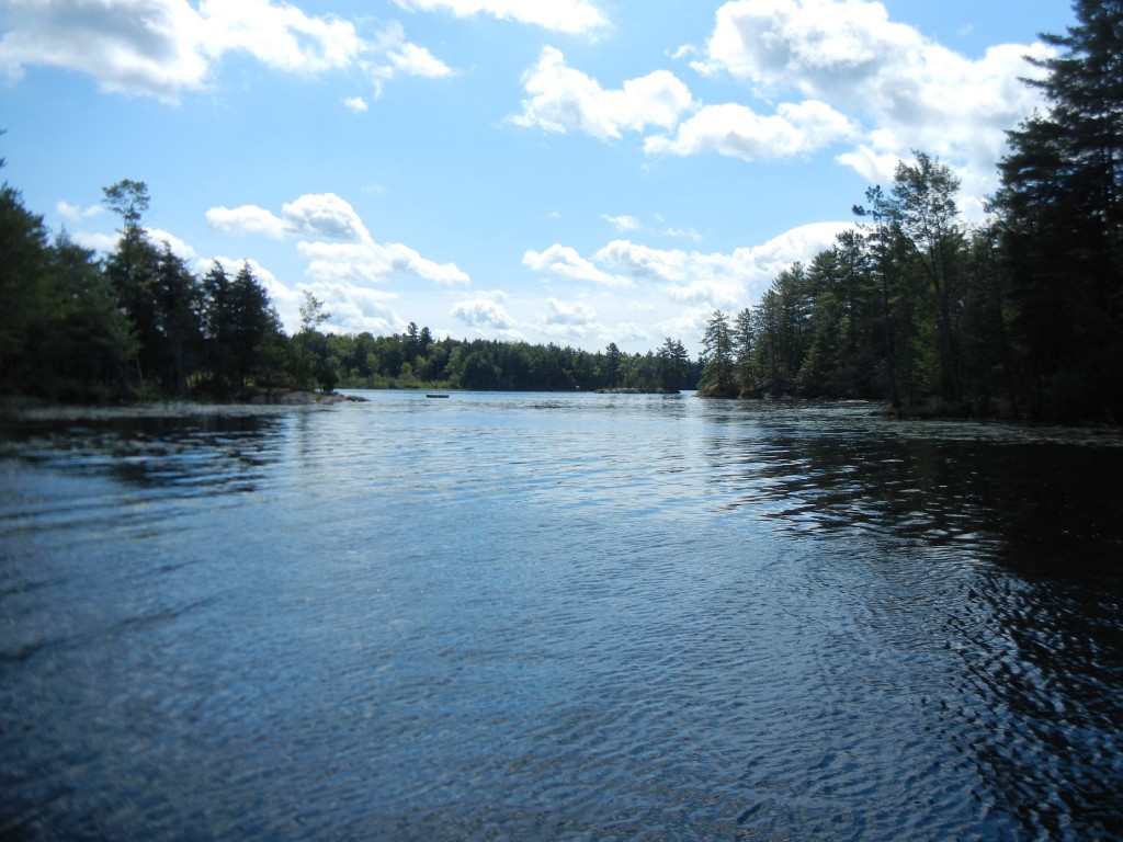 13 PINE POINT RD, North Kawartha, Ontario, Canada