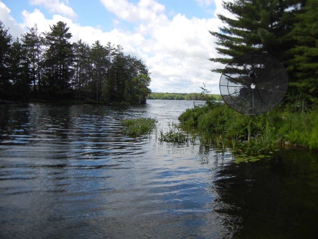 13 PINE POINT RD, North Kawartha, Ontario, Canada