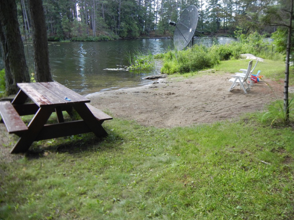 13 PINE POINT RD, North Kawartha, Ontario, Canada