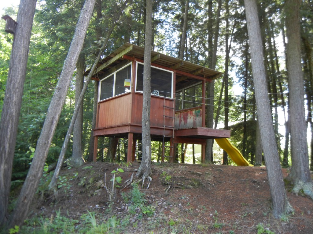 13 PINE POINT RD, North Kawartha, Ontario, Canada