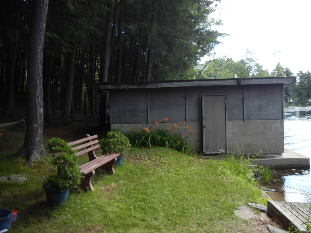 13 PINE POINT RD, North Kawartha, Ontario, Canada