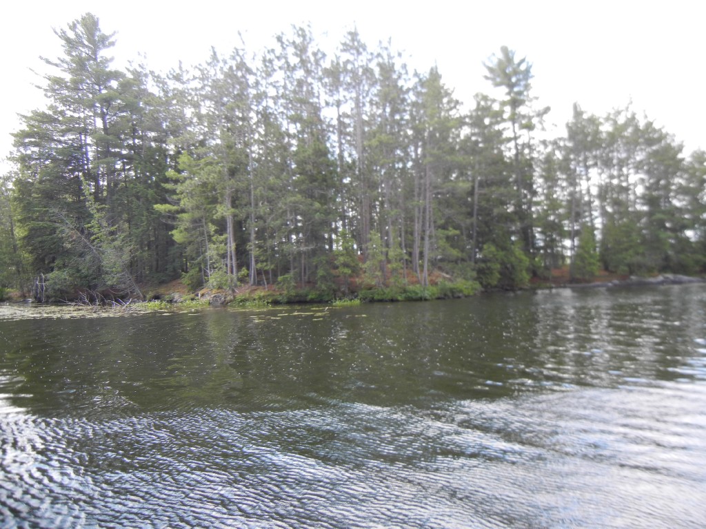 13 PINE POINT RD, North Kawartha, Ontario, Canada
