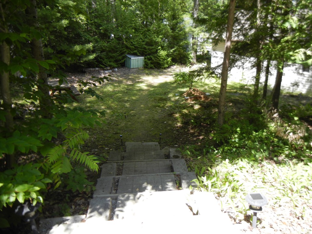 517 RENWICK RD, North Kawartha, Ontario, Canada
