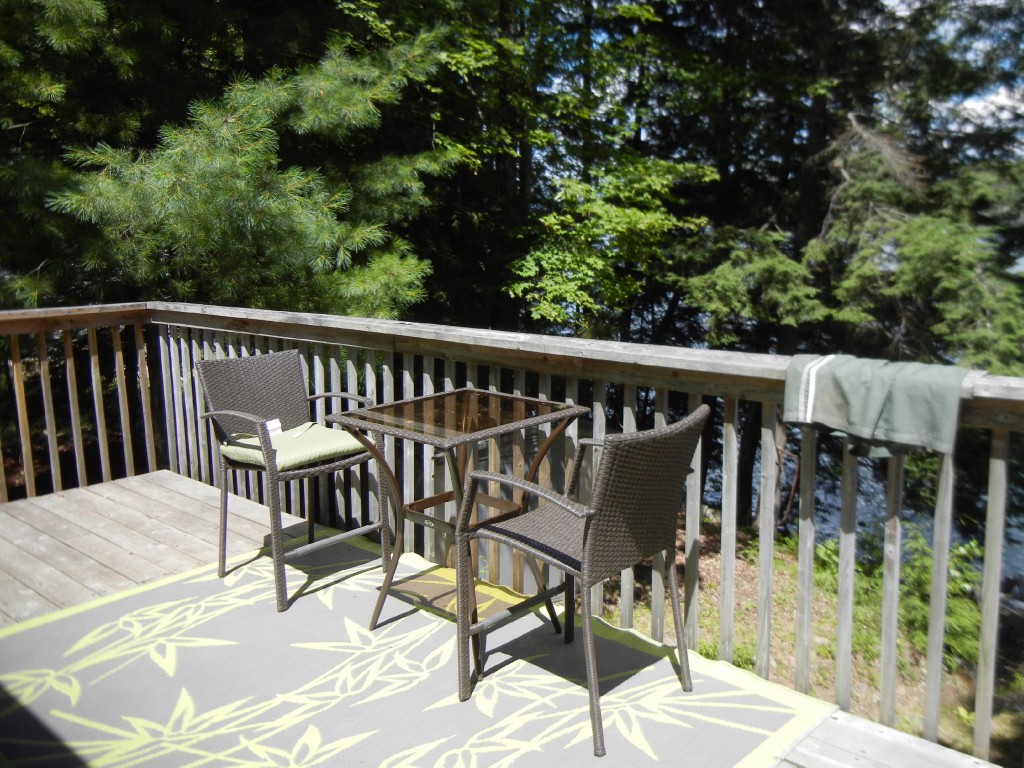 517 RENWICK RD, North Kawartha, Ontario, Canada
