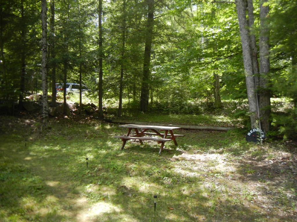 517 RENWICK RD, North Kawartha, Ontario, Canada