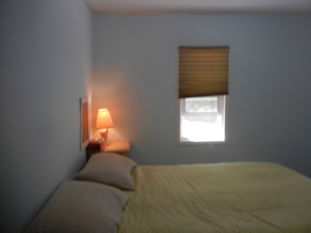 517 RENWICK RD, North Kawartha, Ontario, Canada