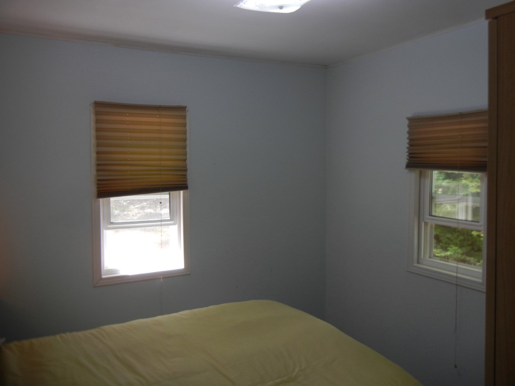 517 RENWICK RD, North Kawartha, Ontario, Canada