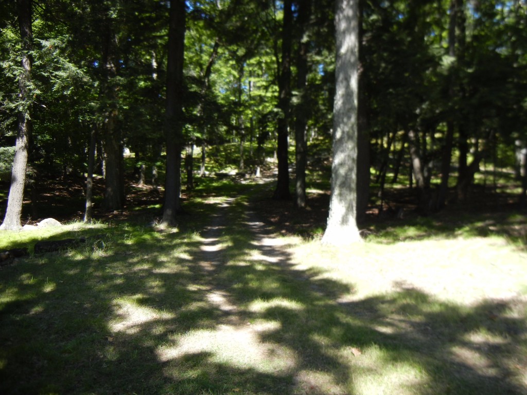 28 FIRE ROUTE 89F, Havelock Belmont Methuen, Ontario, Canada