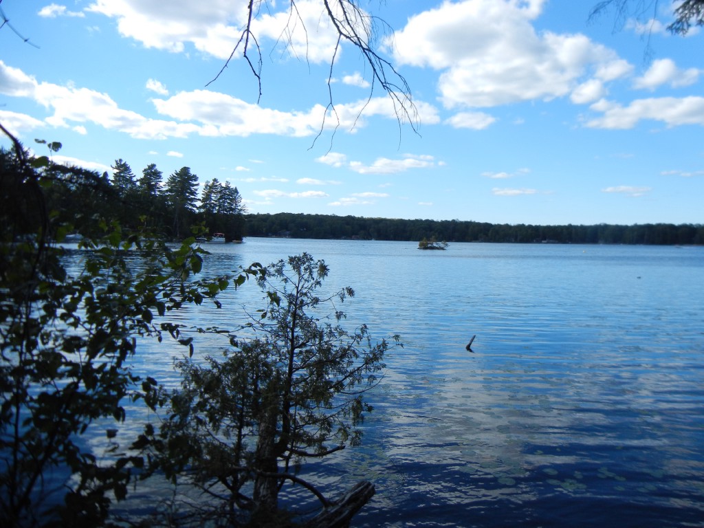 ANHINGA LANE, North Kawartha, Ontario, Canada