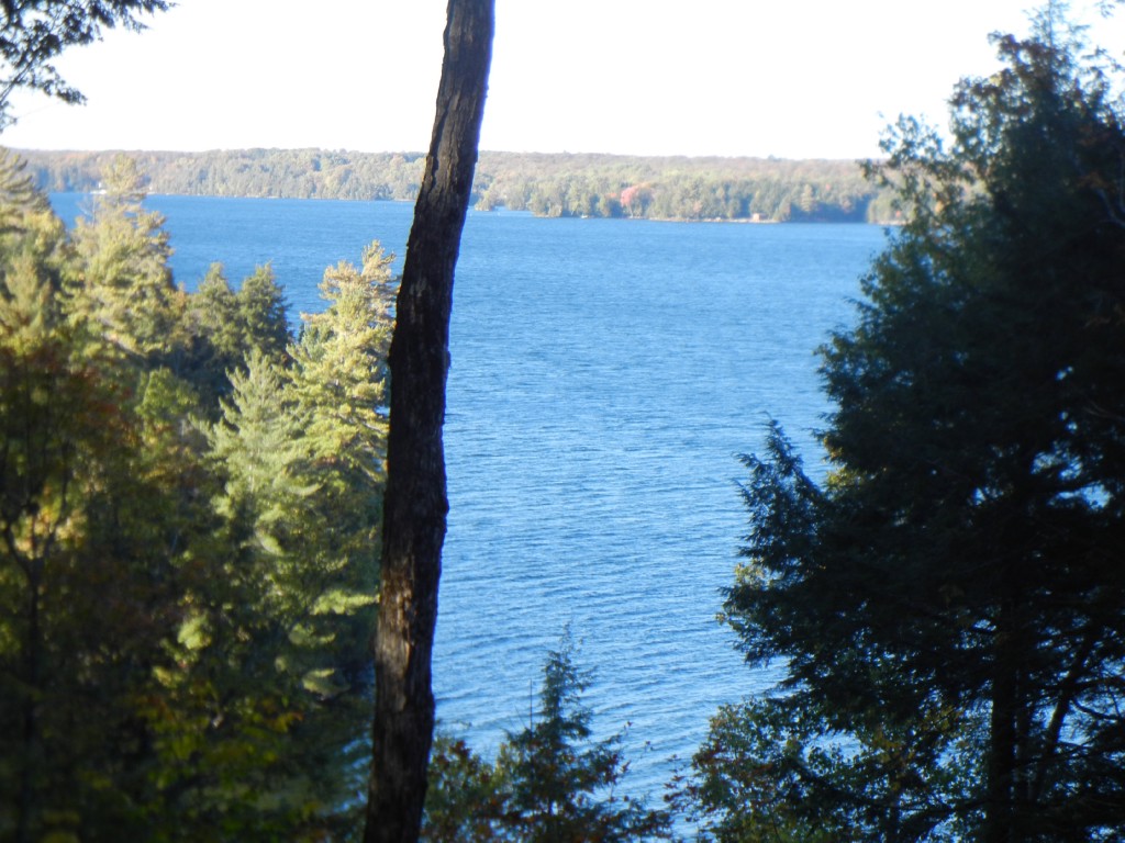 399 ANTELOPE TRAIL, North Kawartha, Ontario, Canada