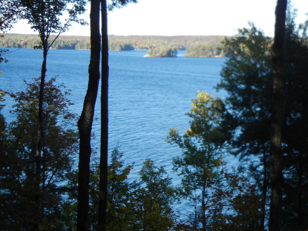399 ANTELOPE TRAIL, North Kawartha, Ontario, Canada