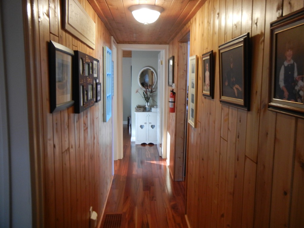 399 ANTELOPE TRAIL, North Kawartha, Ontario, Canada