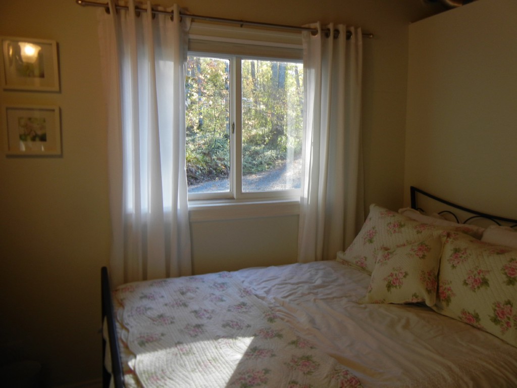 399 ANTELOPE TRAIL, North Kawartha, Ontario, Canada