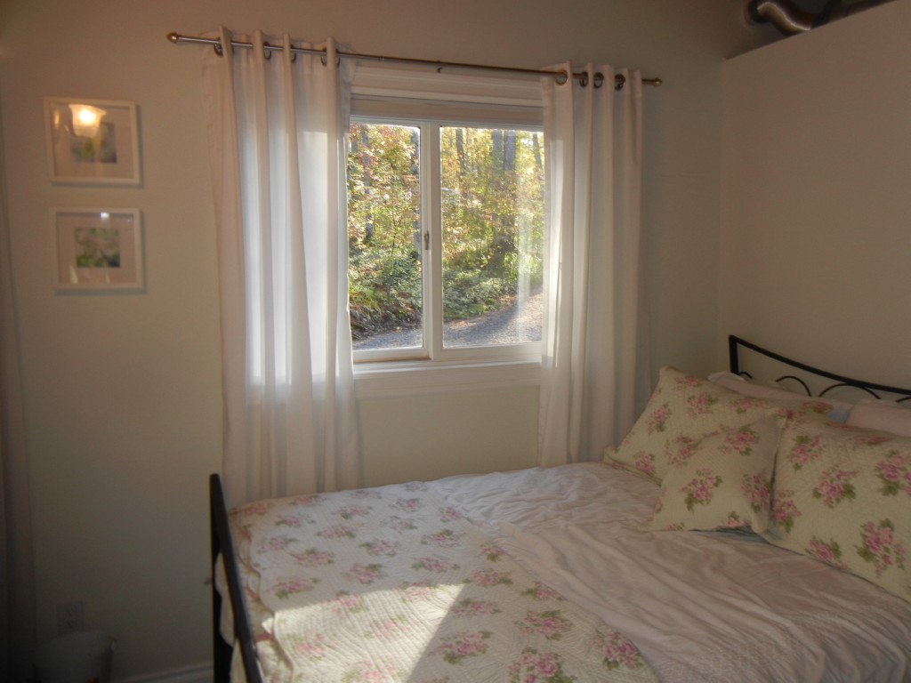 399 ANTELOPE TRAIL, North Kawartha, Ontario, Canada