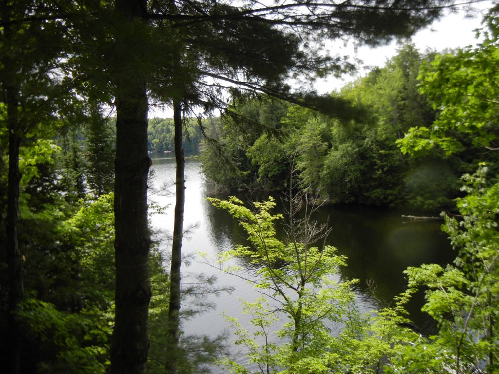 30 FIRE ROUTE 73D, North Kawartha, Ontario, Canada